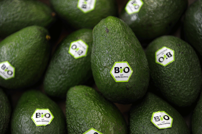 Avocado