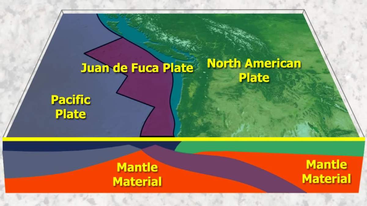UPDATE: No damage reported after earthquake hits east of Tofino - image