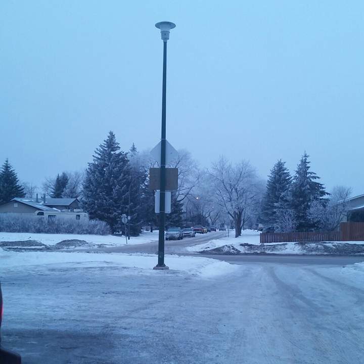 hoar frost