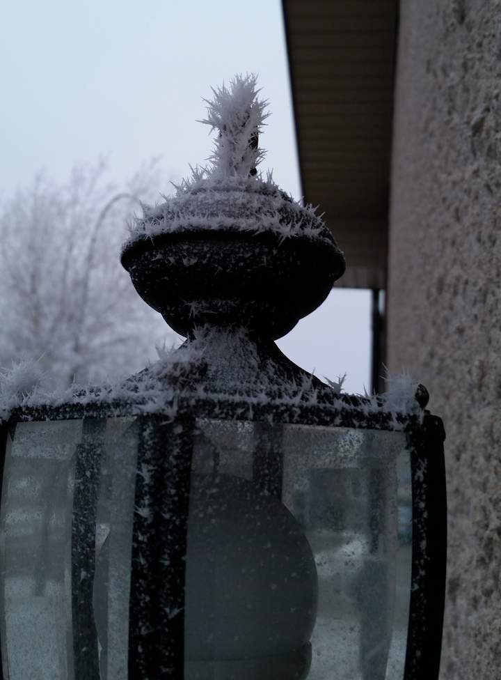hoar frost