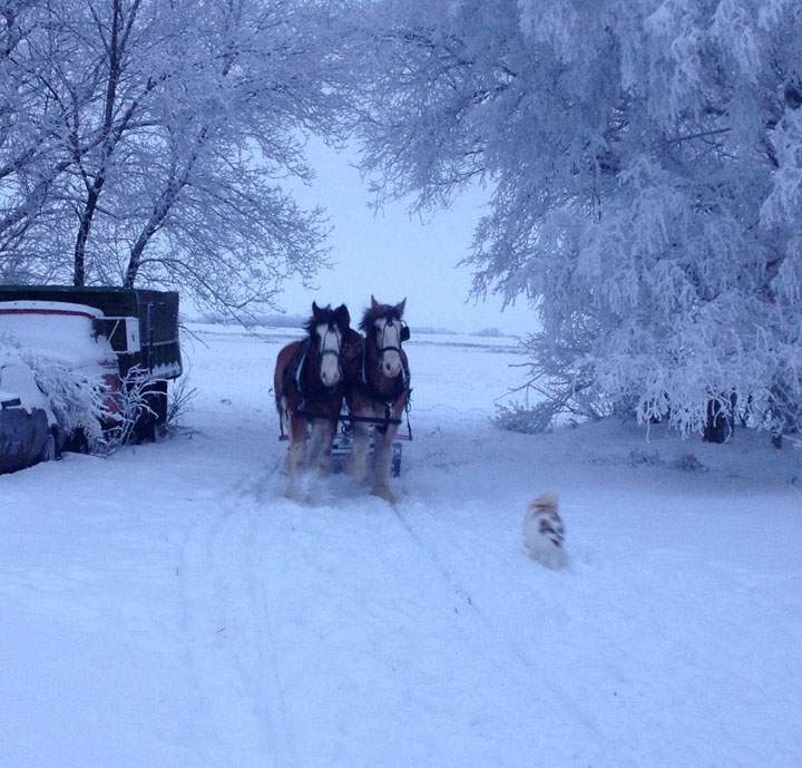 Jan. 17: This Your Saskatchewan photo was taken by Jackie Buchberger near Langenburg.
