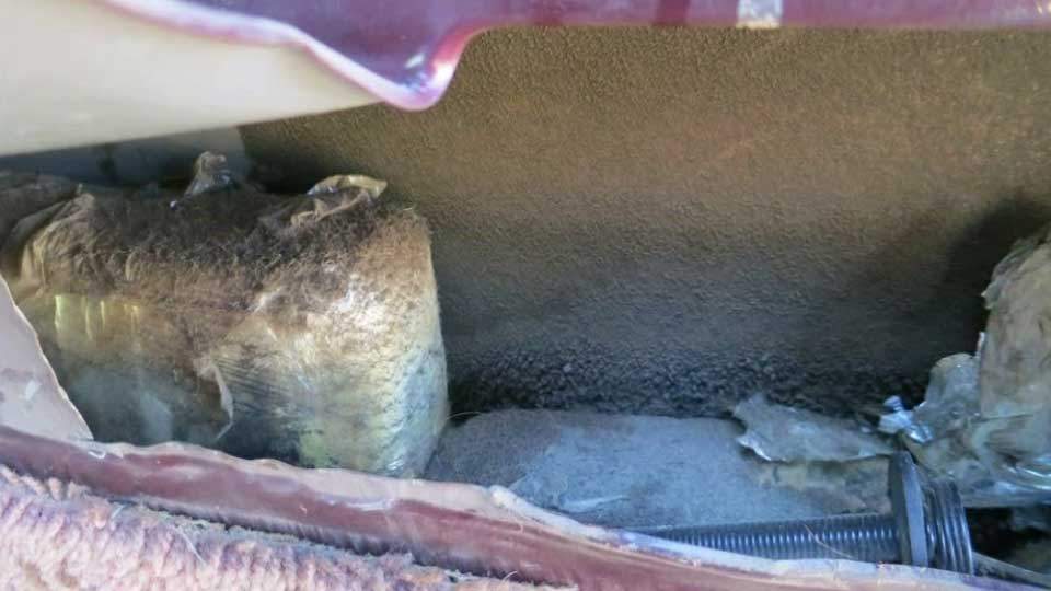 Woman finds 13 pounds of marijuana in her used van