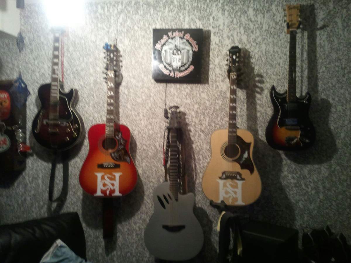 11 guitars were stolen from a home on Grant Street on January 20th, 2015. 