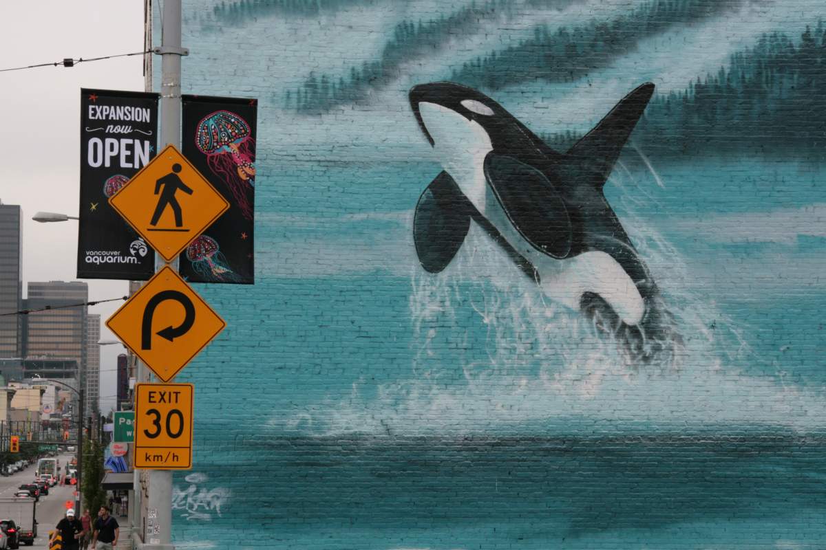 whaling-wall-wyland