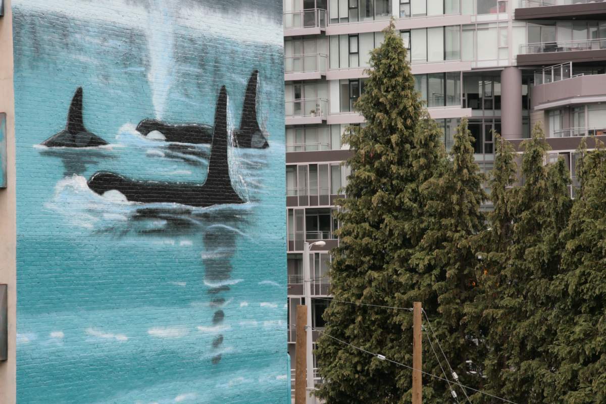 whaling-wall-wyland
