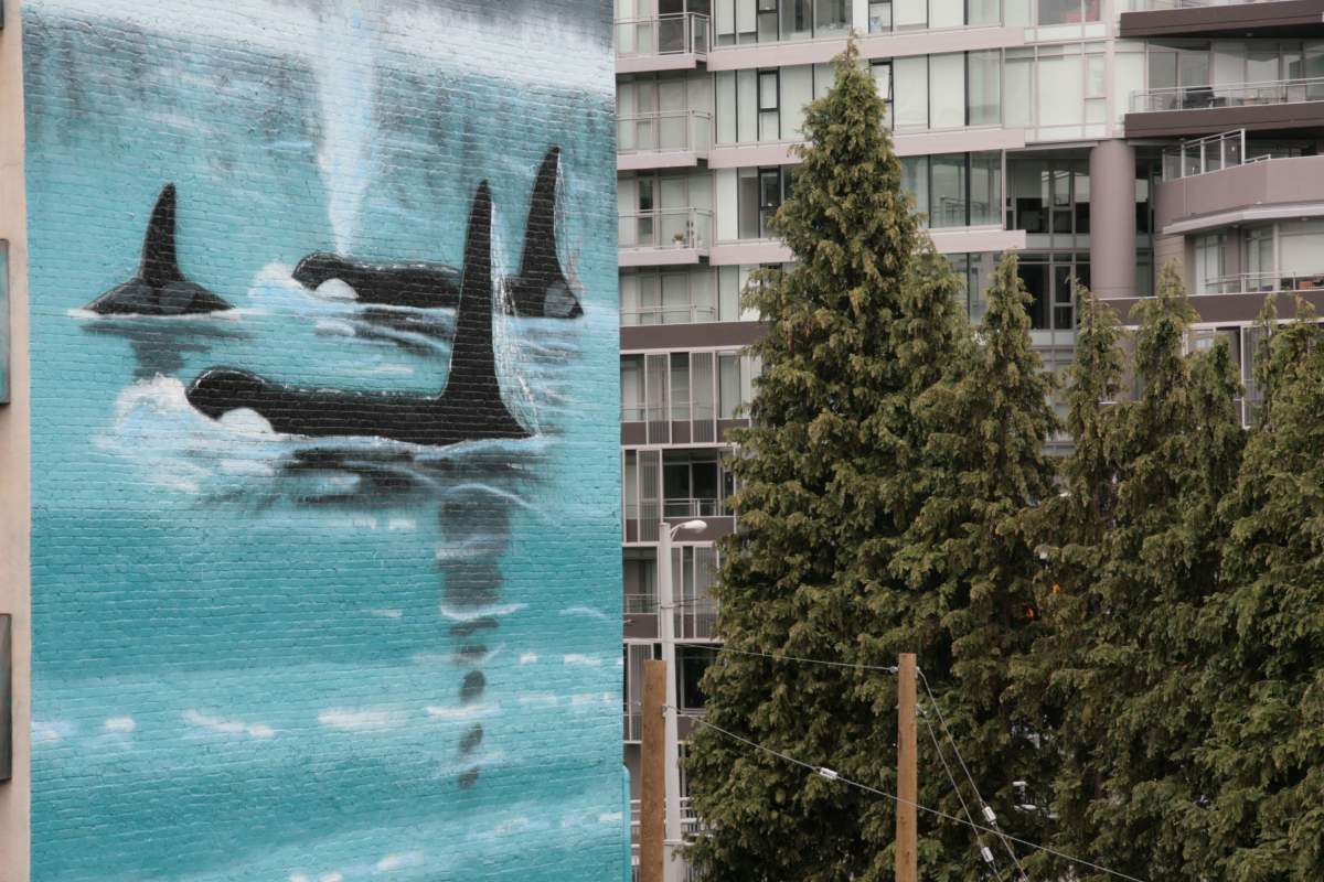 whaling-wall-wyland