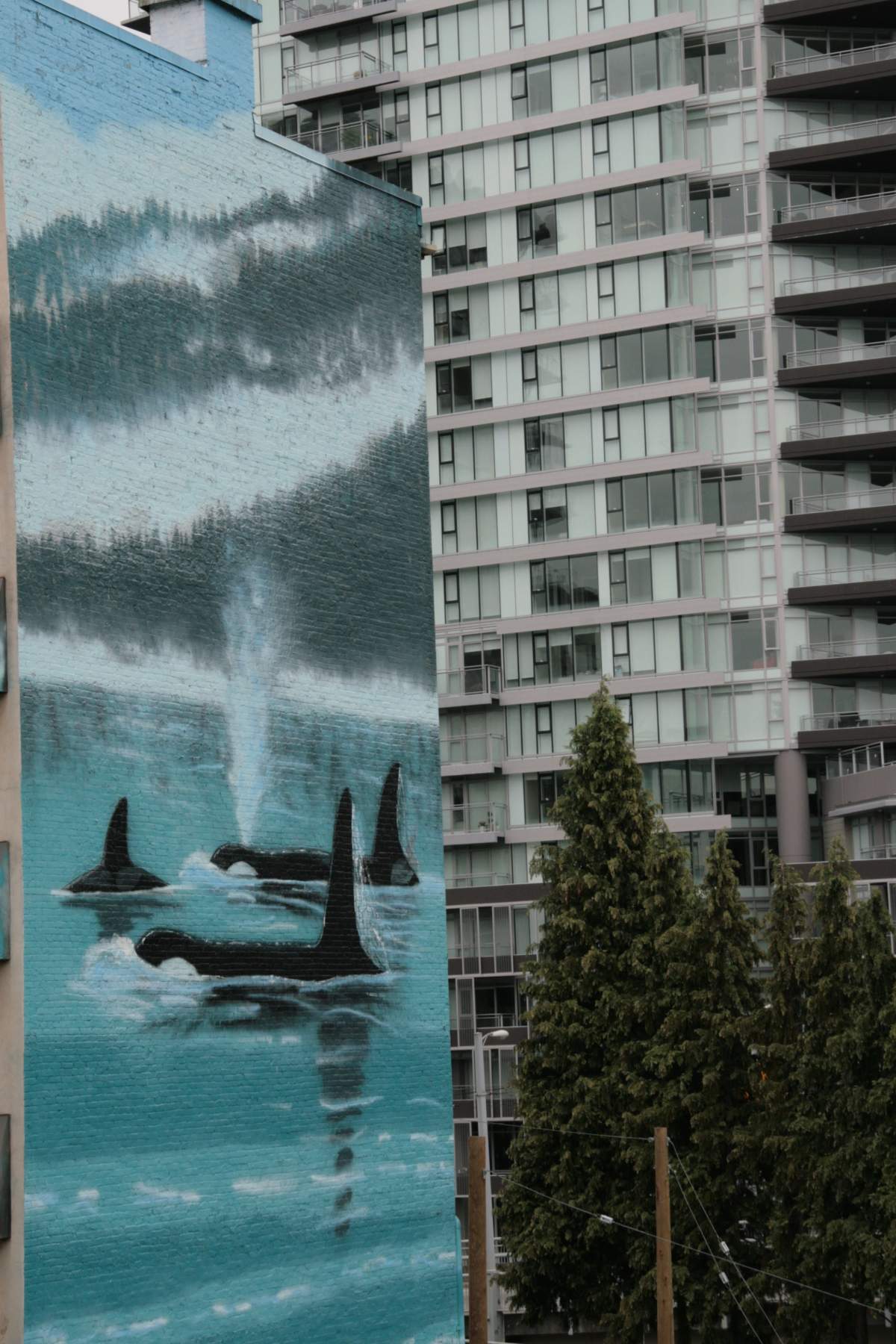 whaling-wall-wyland