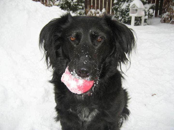 Jan. 24: This Your Saskatchewan photo was taken by Suzanne N. in Saskatoon.