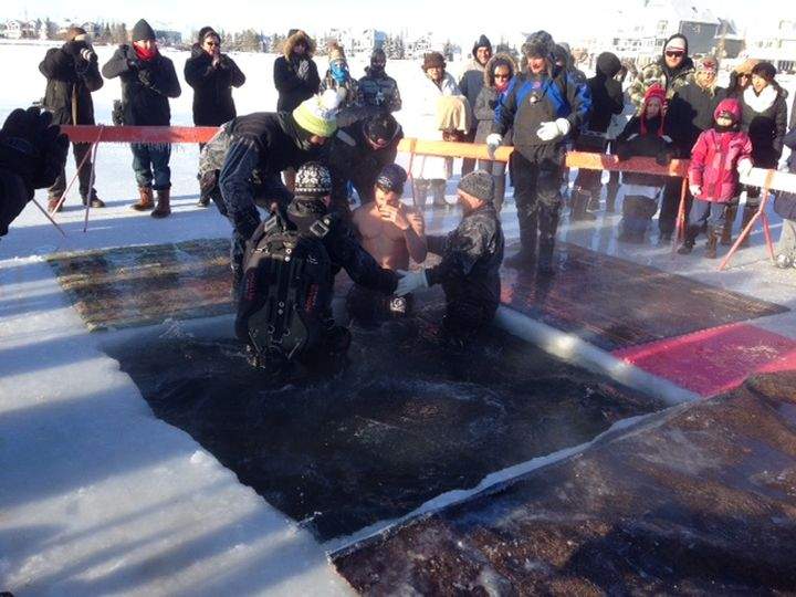 polar plunge