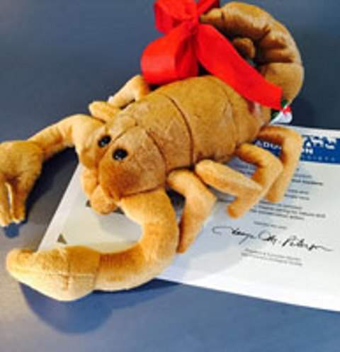 The San Francisco Zoo is offering the broken hearted the chance to "adopt" a hissing cockroach or giant scorpion in honour of their ex for Valentine's Day.