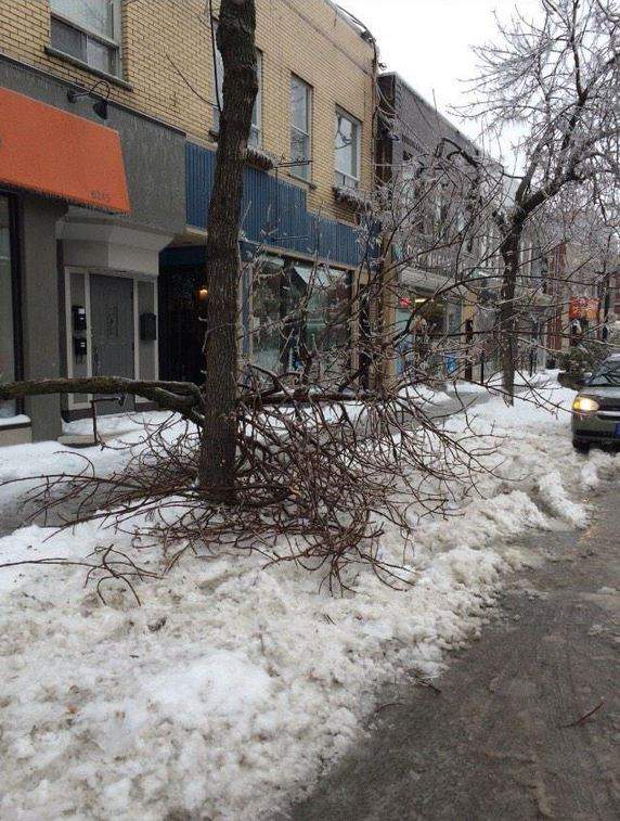 Monk Street, Ville Emard