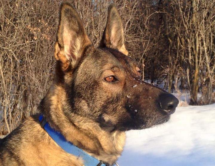 Feb. 5: This Your Saskatchewan photo was taken by Amanda Darnley in Corman Park.