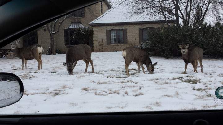 Feb. 12: Candie Winsley took this Your Saskatchewan photo in Swift Current.