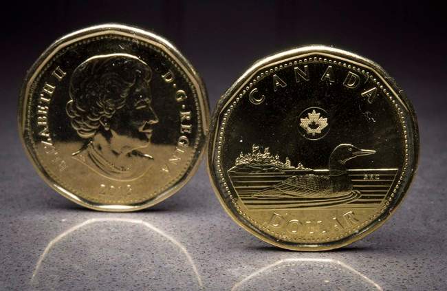 Two loonies are pictured in North Vancouver, B.C. Monday, Jan. 26, 2015. THE CANADIAN PRESS/Jonathan Hayward