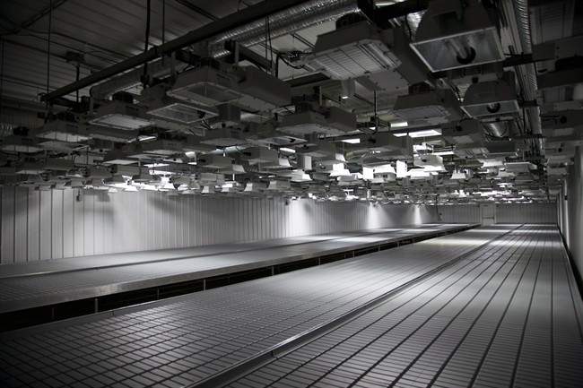 An interior view of the Aurora Cannabis Inc. is shown in an undated, handout photo. Health Canada has granted a licence to Aurora Cannabis Inc. to produce medical pot in Mountain View County north of Calgary. 
