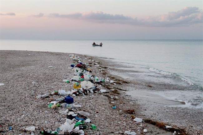 New online education kit aims to tackle plastic pollution - image