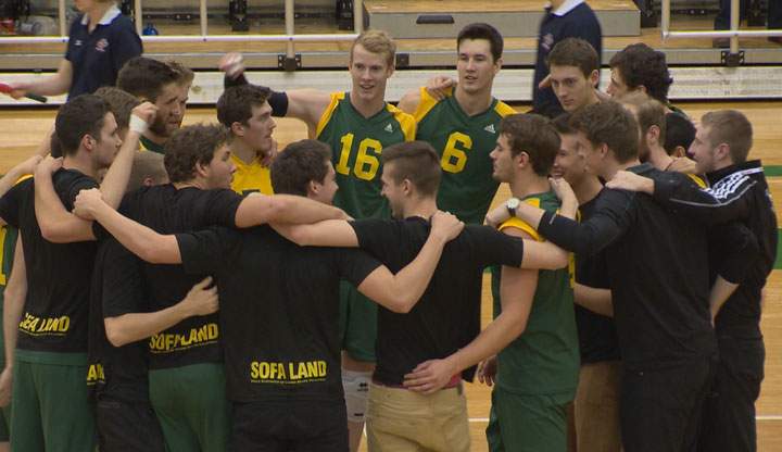 Alberta Golden Bears to face Trinity Western Spartans in the CIS men's volleyball final taking place in Saskatoon.