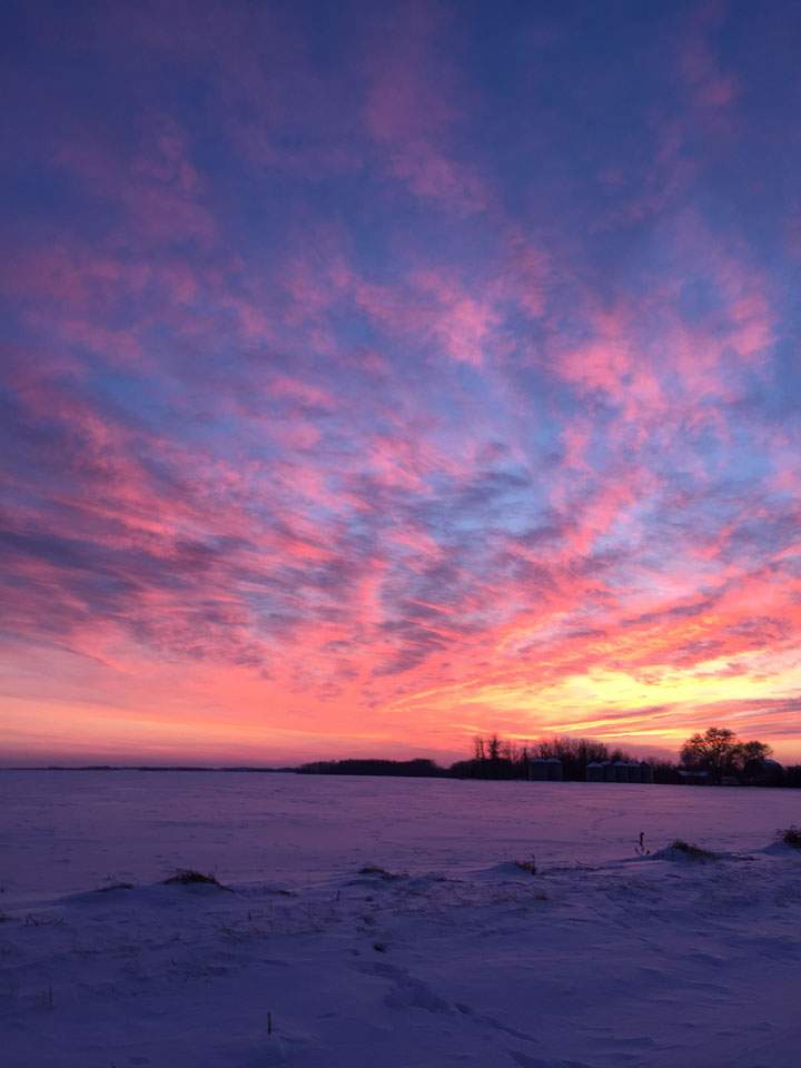 Feb. 7: This Your Saskatchewan photo was taken by Melissa Brassard at Meadow Lake.