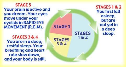 Tips for parents: making sure your children get enough sleep - image