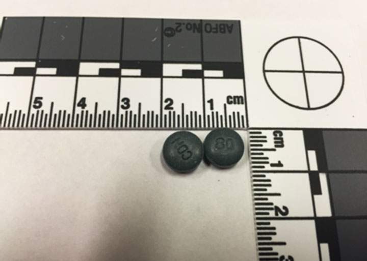 Police have charged a man with possession of fake oxycontin for the purpose of trafficking in Prince Albert, Sask.
