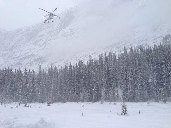 Polar Circus rescue
