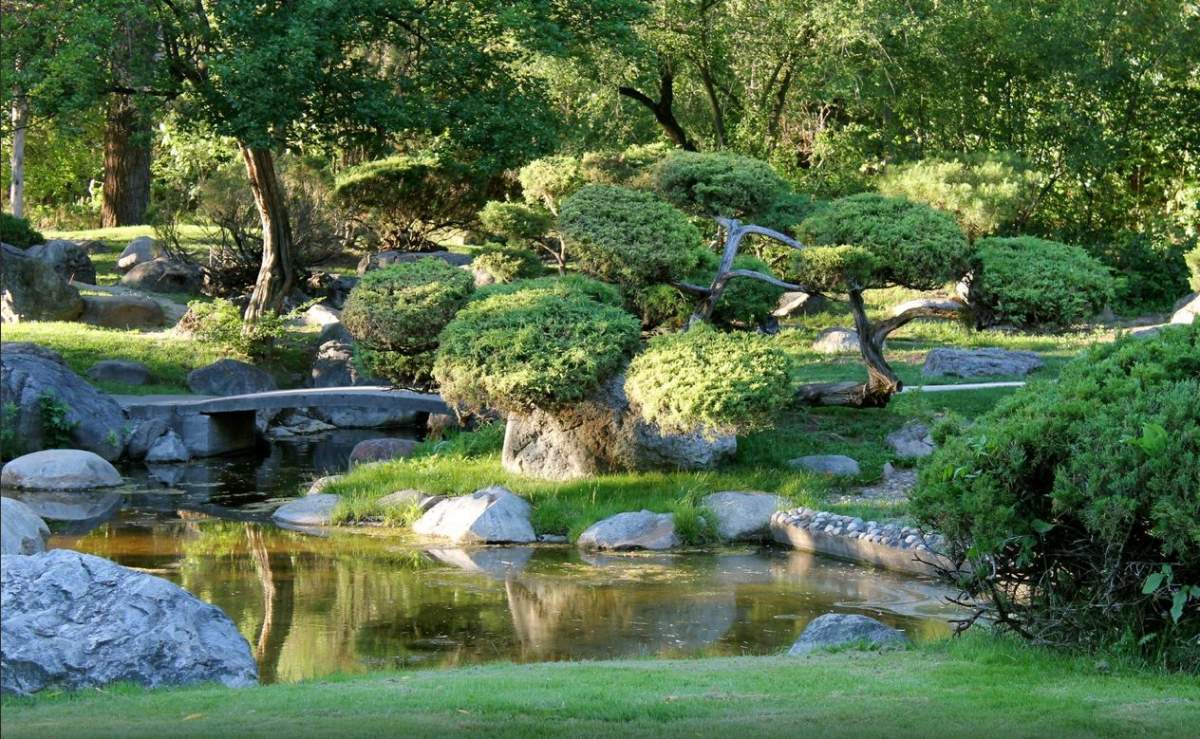One of several ponds at Polson Park in Vernon.