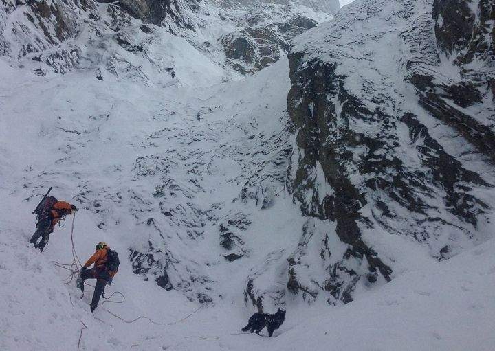 Mark Salesse search Banff