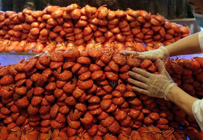 American lobster: The new Chinese New Year delicacy