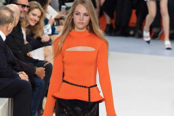 Louis Vuitton : Runway - Paris Fashion Week Womenswear Fall/Winter 2015/2016