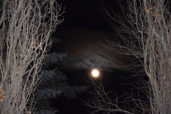 March 11: This Your Saskatchewan photo was taken by Susan Mullen in Saskatoon.