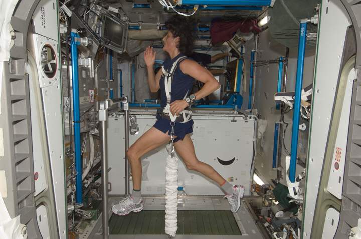 NASA astronaut Sunita Williams, Expedition 32 flight engineer, equipped with a bungee harness, exercises on the Combined Operational Load Bearing External Resistance Treadmill (COLBERT). Yes, it was named after satirist Stephen Colbert.