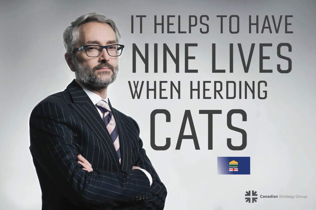 Alberta’s own House of Cards cast in playful postcard series - image