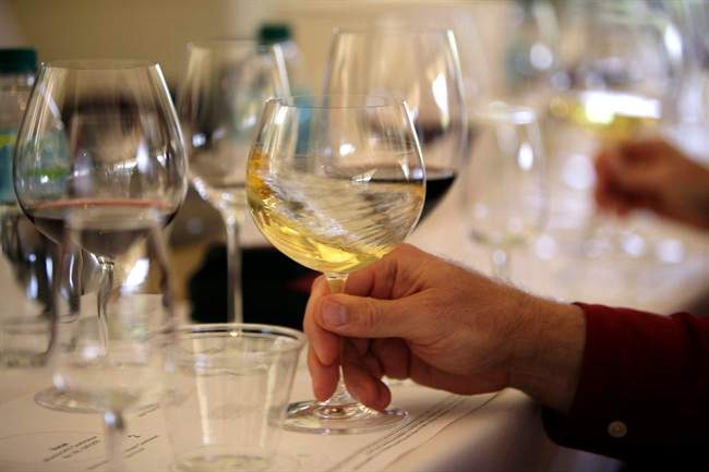 In this May 20, 2009 file photo a glass of white wine is swirled during a tasting in California.