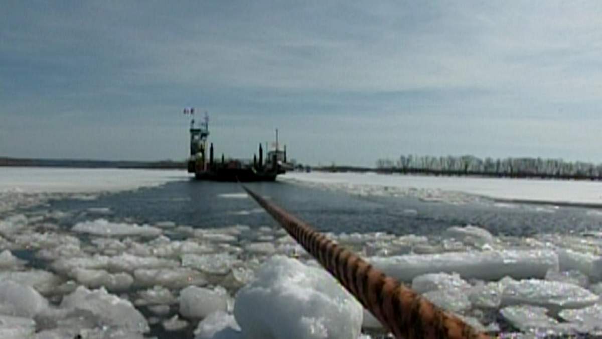 Safety concerns with the Gagetown ferry has halted its service. 