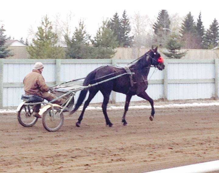Century Downs racetrack