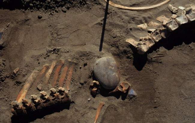 Scientists have redated an ancient hunting site in southern Alberta that pushes back the date for the earliest culture in North American by centuries.