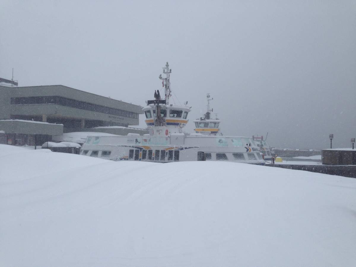 Halifax Transit suspended all bus and Access-A-Bus service on Thursday until at least noon. Ferry service resumed Thursday morning.
