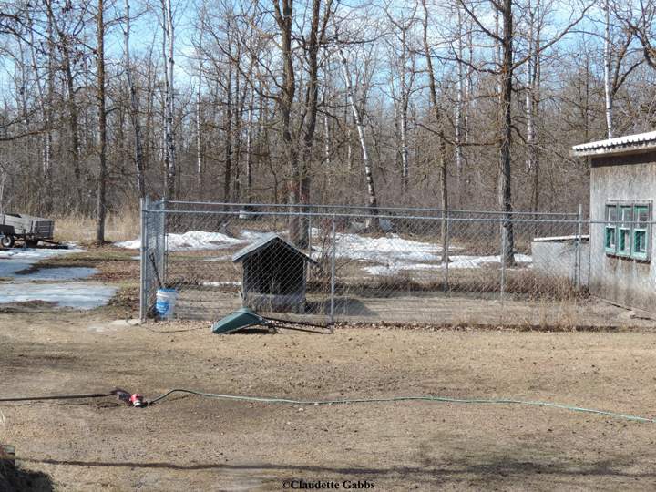 Ste. Anne Manitoba March 16 2015 Claudette Gabbs