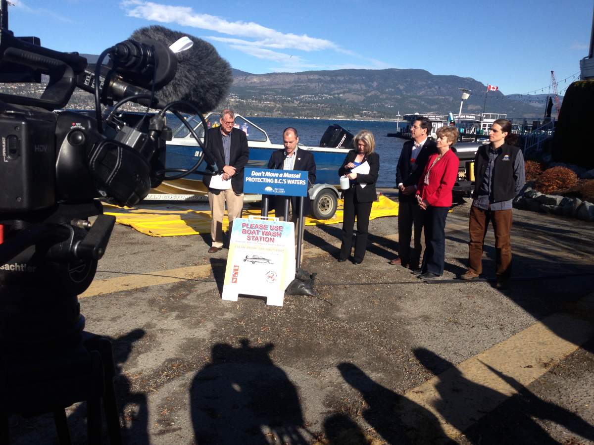 B.C. launches fight against invasive mussels - image