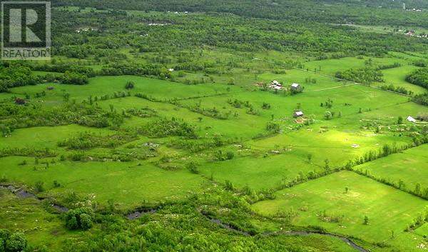 The farm outside of Napanee