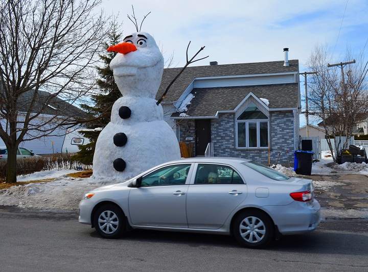 Neighbours drive past a 20-foot snow sculpture of Olaf in Saint-Jean-Sur-Richelieu, Que. on March 23, 2015.
