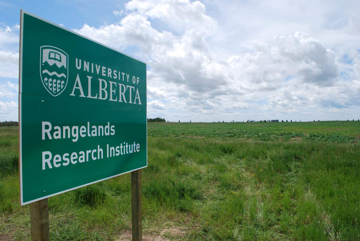 The north entrance to the 12,000 acre ranch.