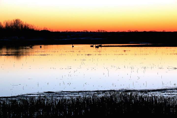 March 29: This Your Saskatchewan photo was taken by Kirby Sarvas at Unity.