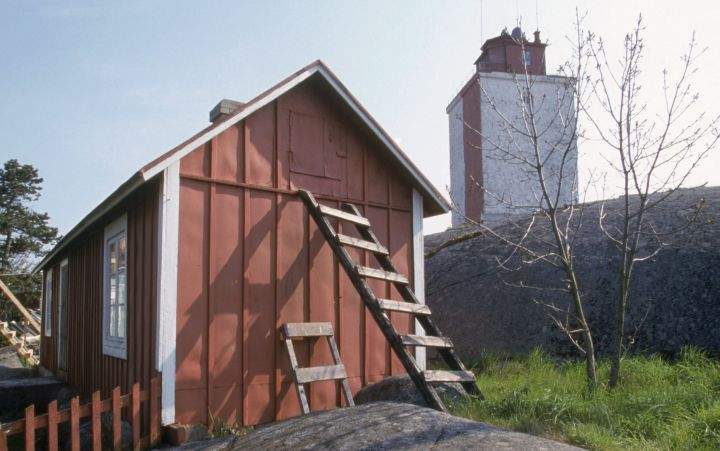 Wooden ladder