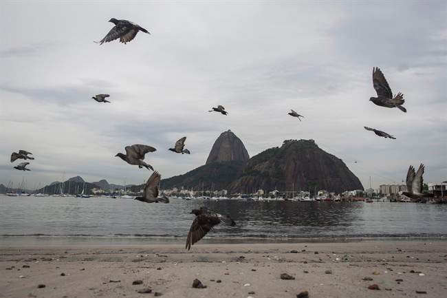 Pigeons fly over the polluted Botafogo beach at Guanabara Bay during a tour for the press in Rio de Janeiro, Brazil, Tuesday, March 10, 2015. The government of Rio de Janeiro is turning to Dutch experts for help in cleaning up the trash-filled bay in time for the 2016 Olympic sailing events. Researchers have created a system that compiles weather, water-quality data and possibly real-time footage from cameras around the bay to forecast where litter accumulates and travels in the extensive bay of 146 square miles.