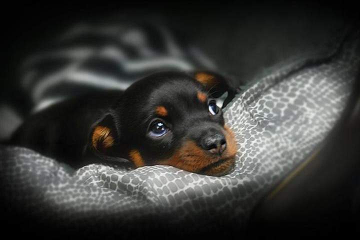 Can’t say no to this, can you?
