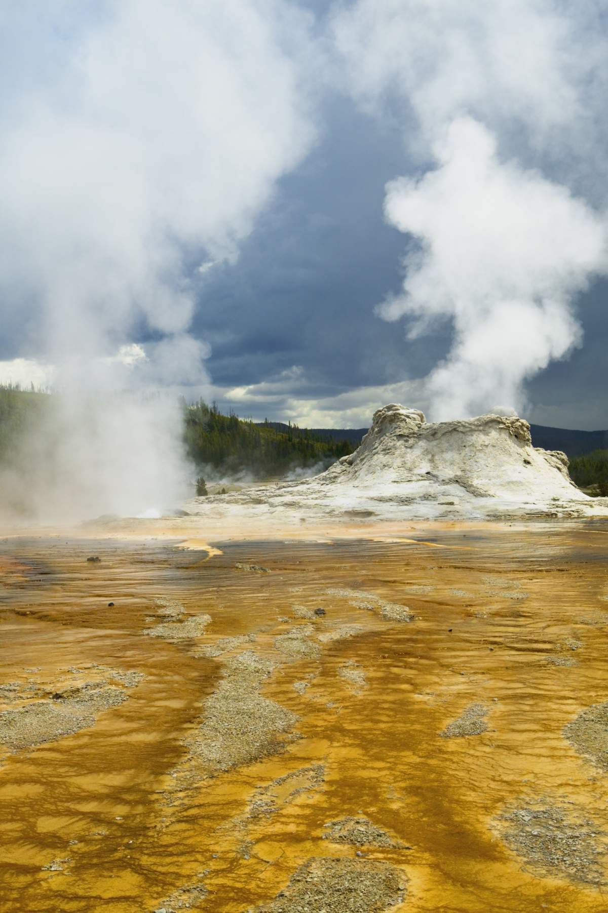 Steam venting from Castle Geyser. Underneath the park's famous geysers and majestic scenery lurks one of the world's biggest volcanoes.