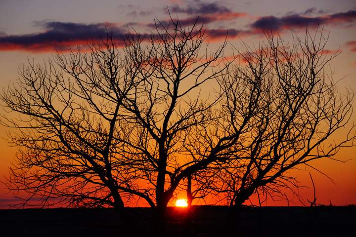 April 7: This Your Saskatchewan photo was taken by Amy Wildeman at Esk.
