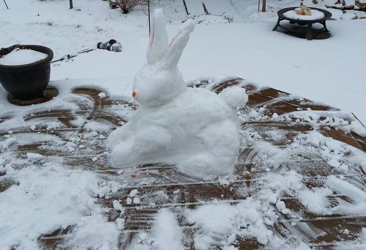 April 9: Amber Kraus took this Your Saskatchewan photo in Saskatoon.