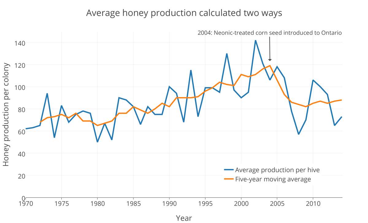 Getting the facts on honey production - image